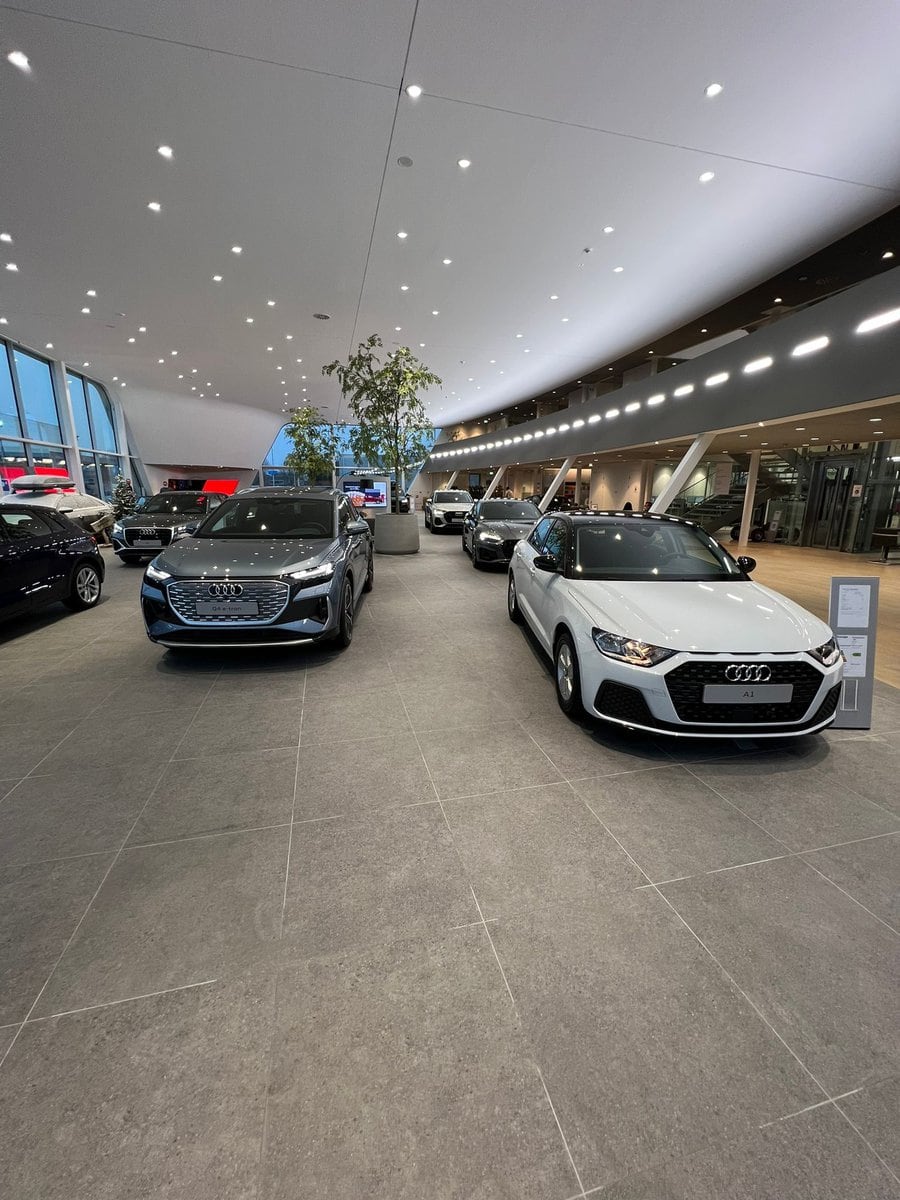 302. Audi DH 25